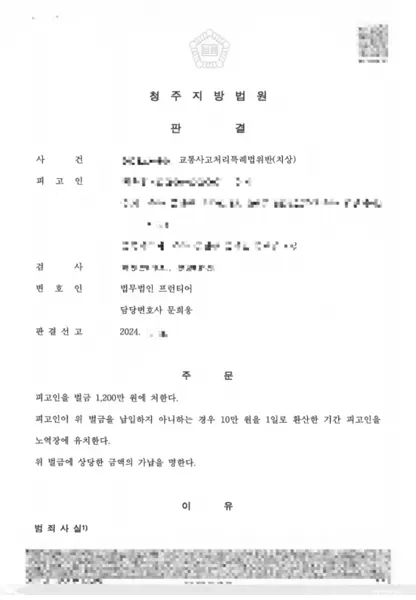 교통사고처리특례법위반(치상) 벌금 결과 문서(개인정보 가림)