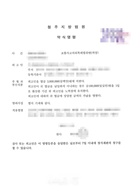 교통사고처리특례법위반(치상) 벌금 결과 문서(개인정보 가림)