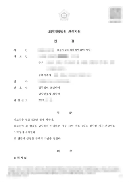 교통사고처리특례법위반(치상) 벌금 결과 문서(개인정보 가림)